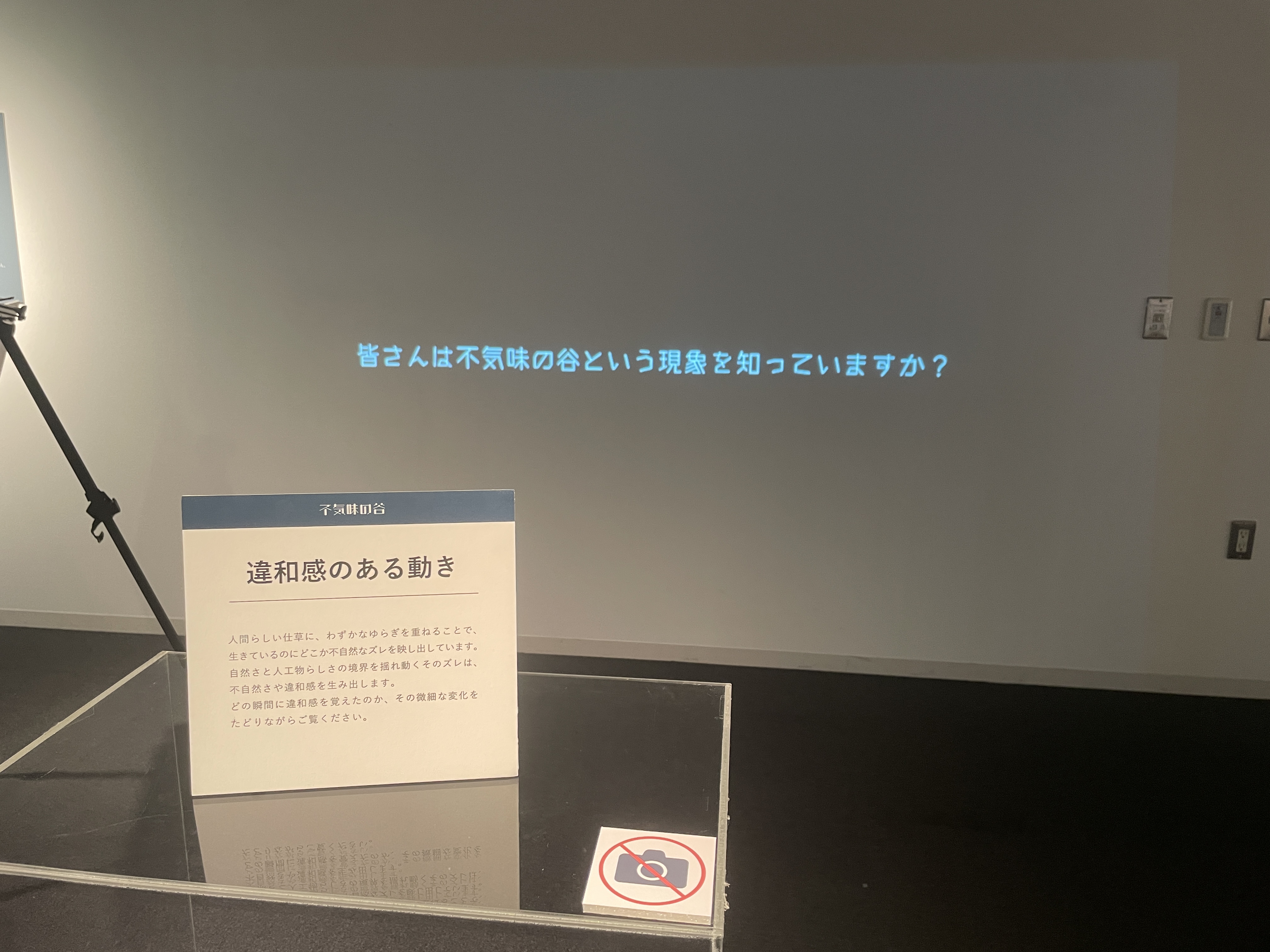 展示物C 1